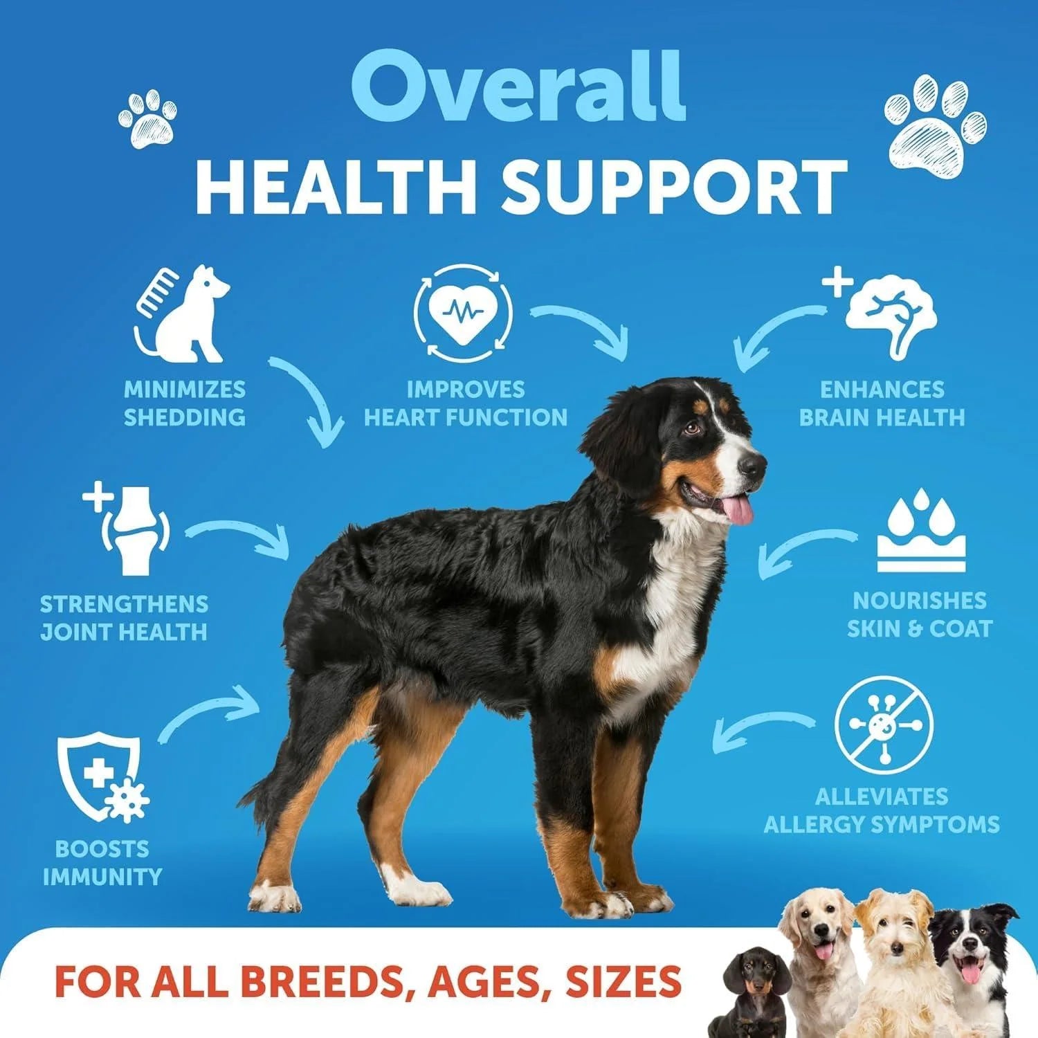 Omega 3 Fish Oil for Dogs 8 FL OZ Better than Salmon Oil Skin and Coat Defense